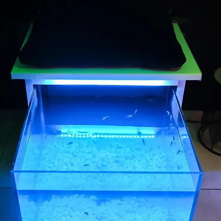 O Privatif - Luxury - Jacuzzi-sauna-netflix-fishspa-serviettes-peignoirs-sandales-cafe Morlanwelz