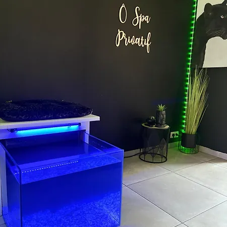 ô Privatif - Luxury - Jacuzzi-sauna-netflix-fishspa-serviettes-peignoirs-sandales-cafe Villa *